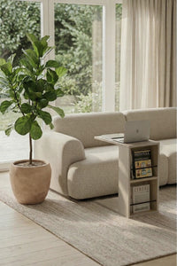 Harmony Asa C Sehpa